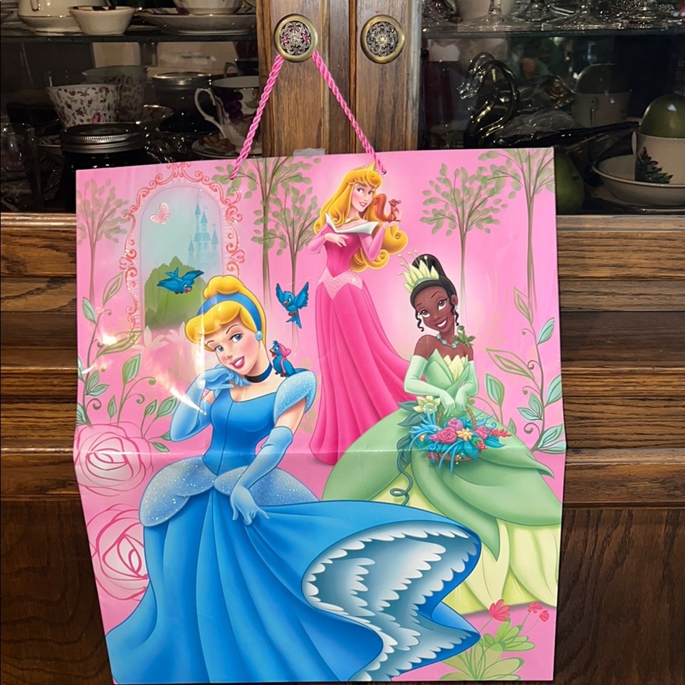 Disney Princess Gift Bag